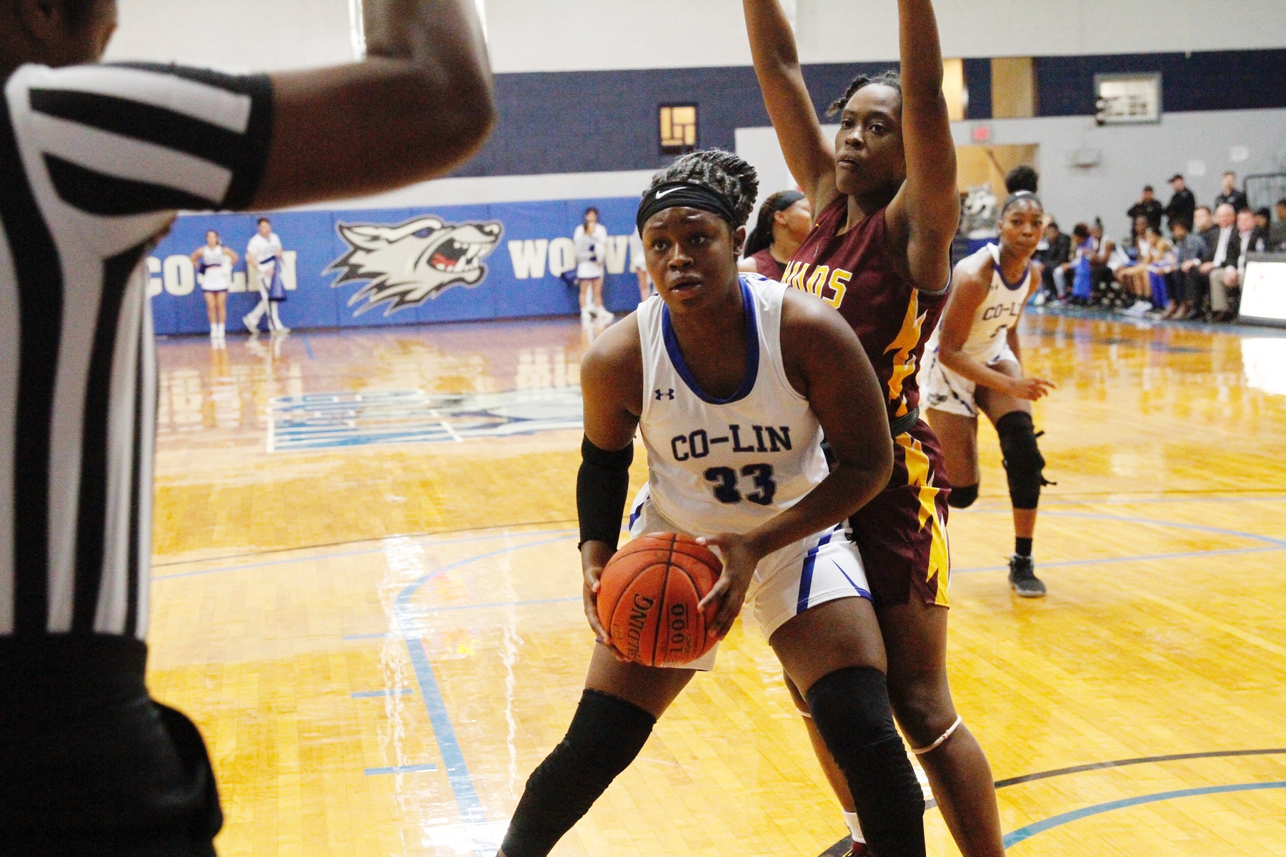 Lady Wolves blow by Hinds, 81-40